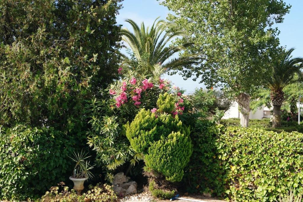 Villa Cala Mendia Cala Mandia  Exterior photo